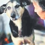 Benim ülkem ırkçı tehdide ceza vermez