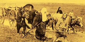 Ulus devlete göç