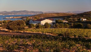 TURKEY-SOCIETY-CULTURE-POLITICS-WINE-ALCOHOL