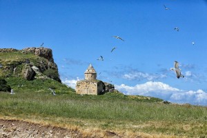 Կտուց