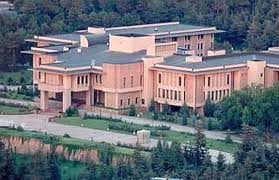 Չանգայա