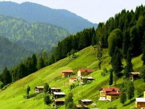 համշենցի