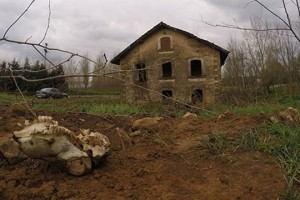 Արմաշի հայկական վանքը