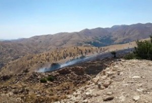 Սասուն