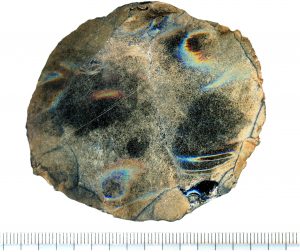 EC Sünik bölgesi, Gorayk, Zuygağbür, levalua tipi alet, geç aşil 250-40 b.y.ö., obsidyen (kazılar ve fotoğraflar H. Simonyan)