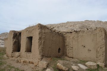 van-evleri