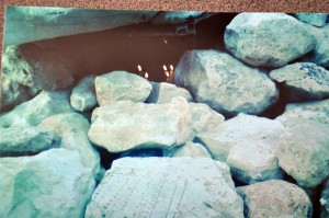 եկեղեցու քարեր 2