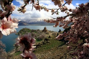 Աղթամար կղզի