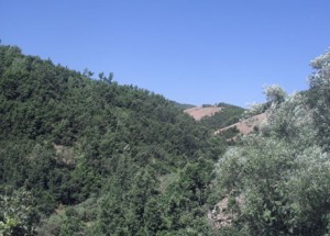 Սասնո այս լեռան` հեռվում երևացող բացատում 1904 ապրիլի 13 դավադրաբար սանվել է Հրայր Դժեխքը