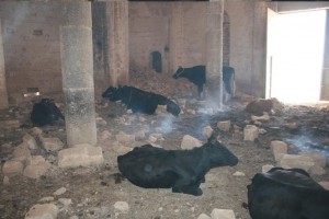 Urfa'daki tarihi Ermeni kilisesi