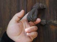 Հայերի պատրաստած կոչնակ