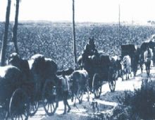 Նևզաթ Օնարան