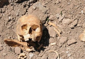 մարդկային ոսկորներ