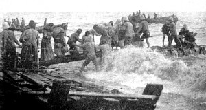 Mehmet Celal Bey'in yazıları