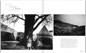 Ծառերի հիշողությունը