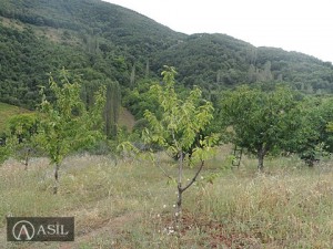 Հայկական գյուղ