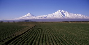 Արարատը Բազէի ոսպնեակով