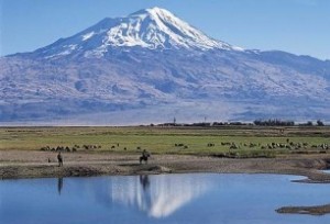 Ararat