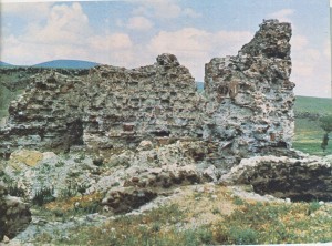 Տեկորի տաճարին վիճակը՝