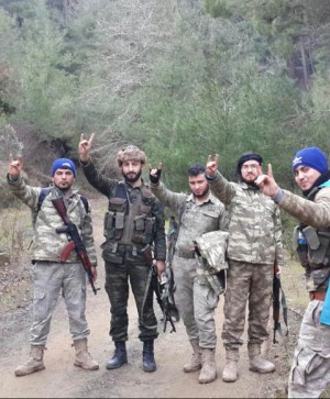 Գորշ Գայլեր