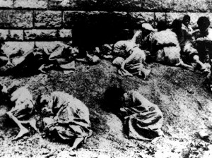 Հայոց Ցեղասպանութիւն