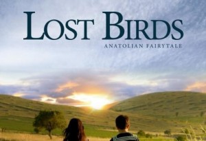 Lost Birds