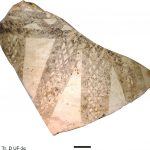 ՀՀ Սյունիքի մարզ, Գոդեձոր, գունազարդ խեցատ, Ք.ա. IV հազ. առաջին կես (պեղ. և լուս.` Պ. Ավետիսյանի և Ք. Շատենյեի) 