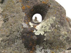 ՀՀ Սյունիքի մարզ, Զորաց քարեր, մենաքար, Ք.ա. XX-XVIII դդ. (լուս.` Հ. Սիմոնյանի) 