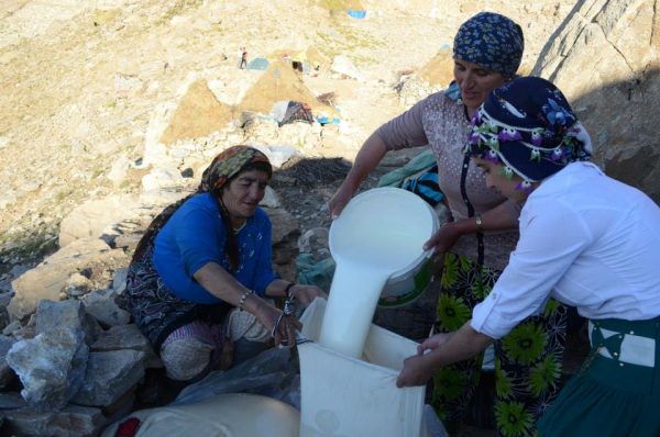 աղթանի պատրաստում