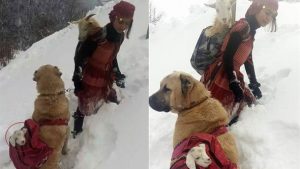 Rize'de çekilen fotoğraf