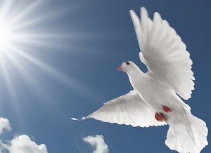 HDP’den KCK açıklaması