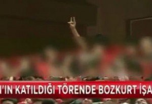 «Գորշ գայլերի» նշան