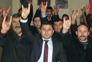 Գորշ գայլեր