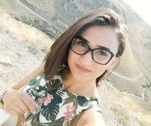 Tarihi Van Şehri