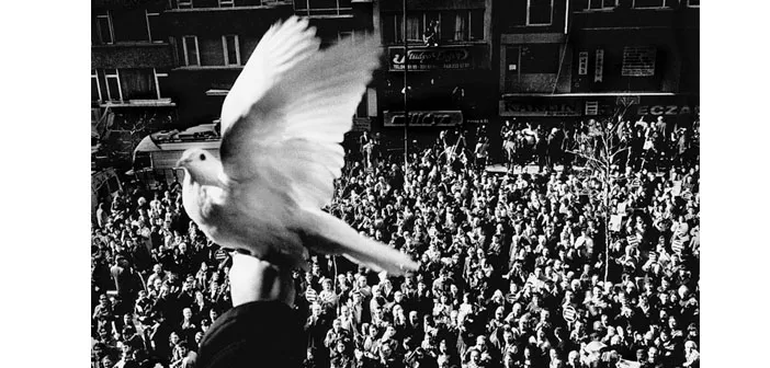 Vatandaş Hrant…