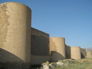 Ani’nin başkent oluşunun 1050. yıldönümüne yönelik konferans