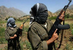 Kato Dağı’nda 30 PKK’lı öldürüldü