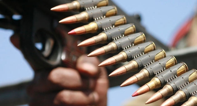 Türkiye’de kaç korucu var?