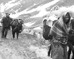 Ermeni Edebiyatında (Abovyan yazıtlarında) Kürtler