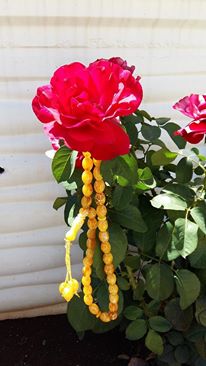 Kevork Çavuş’un Tespihi