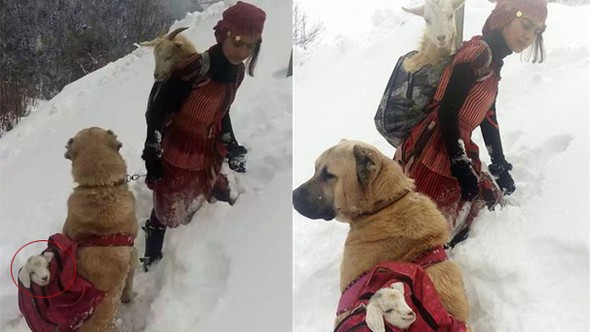 Rize’de çekilen fotoğrafın sırrı ortaya çıktı