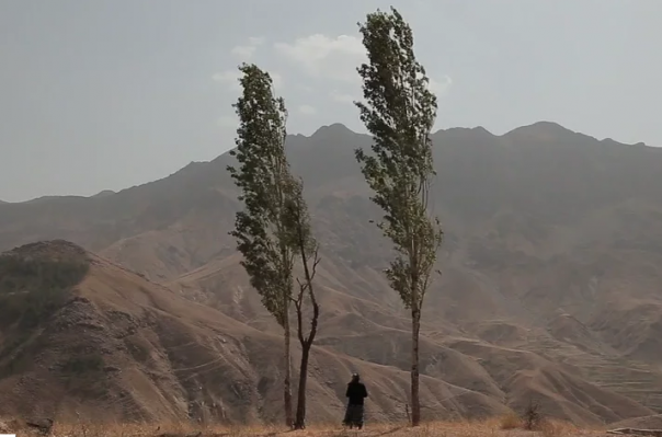 Bitlis’ten Eçmiadzin’e ‘Derdo Ana ve Ceviz Ağacı’