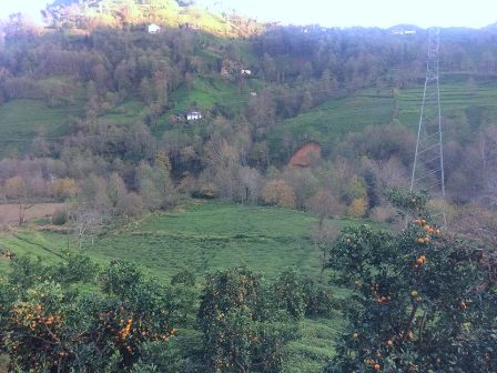 Asimder Başkan Gülbey: “Ermeni ajanlar Karadeniz’de rahatça geziniyorlar”