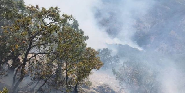 Dersim dört dağ içinde dört dağ yangın içinde