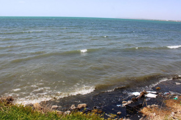 ÇEVDER Başkanı Ali Kalçık: Van Gölü bataklığa dönüşüyor