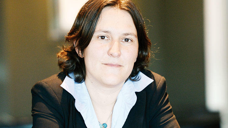 AP Türkiye raporuna 319 değişiklik önergesi