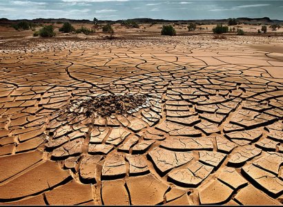 TEMA’dan uyarı: Türkiye topraklarının yüzde 47’si çölleşme riski altında