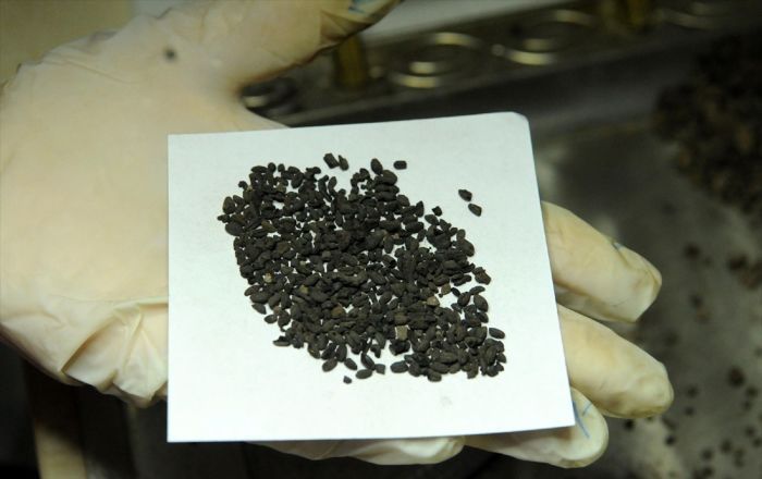 Bingöl’de kurtarma kazısında bulunan buğday taneleri 4500 yıllık çıktı