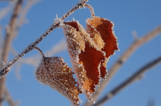 Ardahan Göle buz kesti: Hava sıcaklığı eksi 31,8 derece ölçüldü