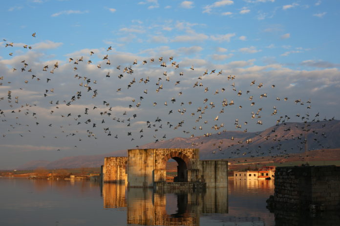 Hasankeyf’in yasını kuşlar tutuyor!